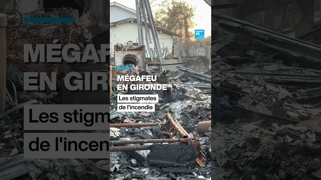 Mégafeu en Gironde : les stigmates de l'incendie • FRANCE 24